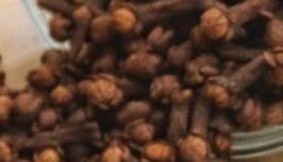 Why Dentists Rely on Cloves: Exploring the Eugenol Compound and Everyday Uses