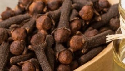 Discover the Daily Ritual: 15 Potential Benefits of Chewing Cloves for Overall Wellness and Health Support