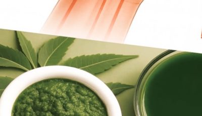 1 Leaf That May Help Manage Diabetes