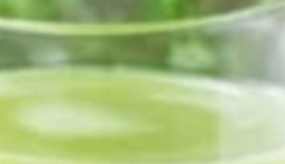 The Secret of Youthful Vitality Hidden in Your Garden’s Wild Greenery
