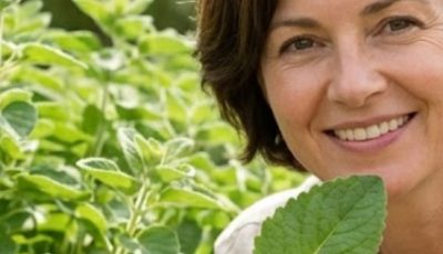 One Leaf a Day: The Hidden Power of Oregano Orejon
