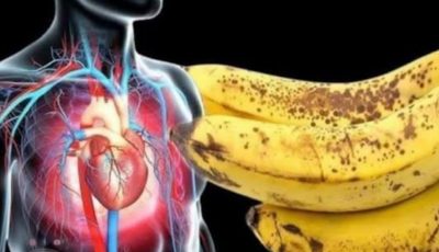 🍌 Did You Know That Eating Bananas Increases… Your Energy, Mood, and More?