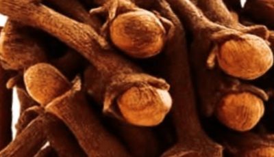 18 Powerful Ways to Use Clove Tea: Your Warm Ally for Natural Wellness Boosts?