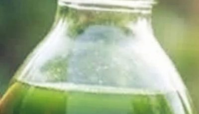 Nature’s Green Secret for Healthy Eyes