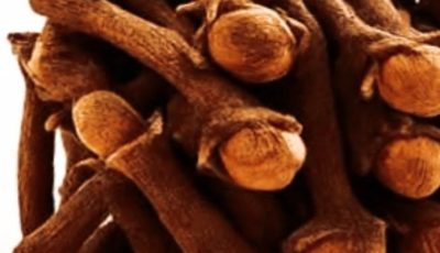 18 Powerful Ways to Use Clove Tea: Your Warm Ally for Natural Wellness Boosts?