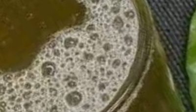 THE FOUR LEAVES THAT ELIMINATE DIABETES, CANCER, FATTY LIVER PROBLEMS