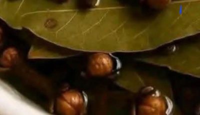 Bay Leaf and Clove Herbal Tea