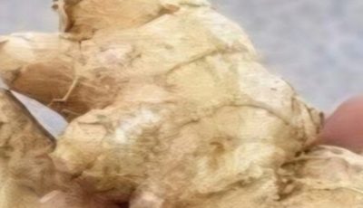 Grated ginger, onion, garlic and lemon juice