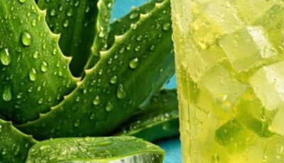 Aloe vera with cinnamon: the home remedy that takes care of your health and your eyesight