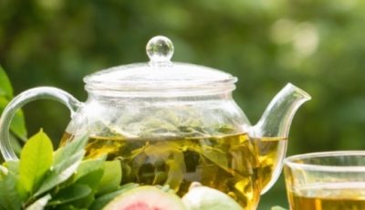 Benefits of guava leaves: what they are for and how to use them correctly