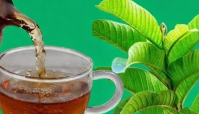 Natural Leaves That May Help Support Healthy Blood Sugar Levels