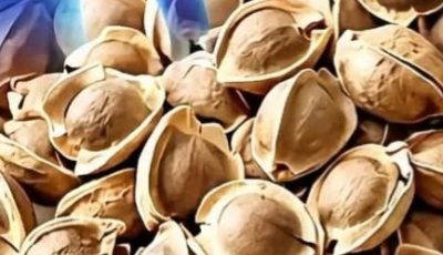 Recover Your Vision Naturally with These 4 Powerful Moringa Recipes