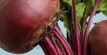 The Truth About Beetroot and How You Should Consume It