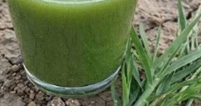 25 Incredible Health Benefits of Goosegrass