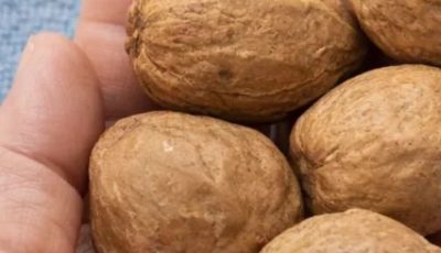 Avocado Seed Remedy for Joint Pain: A Natural Anti-Inflammatory Solution