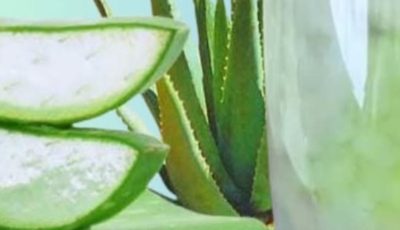 Aloe Vera with Cinnamon: The Home Remedy That Protects Your Health and Vision