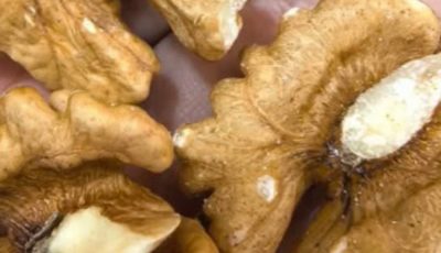 The Health Benefits of Walnuts: A Superfood for Heart, Brain, and Overall Well-being