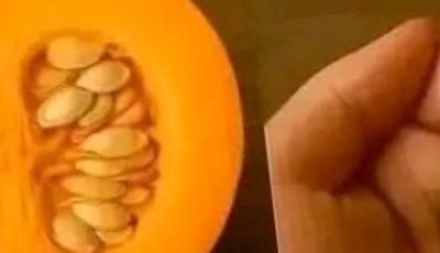 FAMOUS DOCTOR REVEALS: Eat this and the parasites will disappear in 3 days