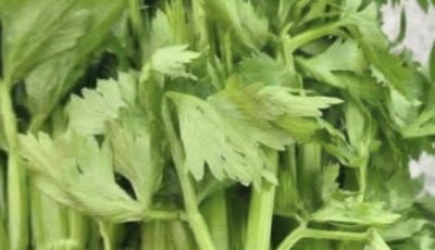 Celery Detox Juice