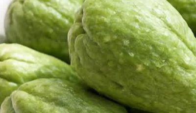 Discover Chayote: The Humble Green Squash That Naturally Transforms Your Health