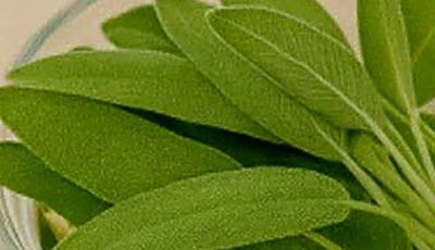 A Natural Miracle for Brain Health, Inflammation, and Joint Pain