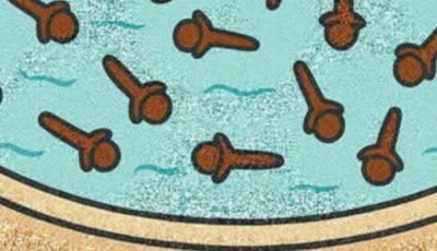 Clove Water Sitz Baths for Women: A Gentle Guide to Hygiene and Comfort