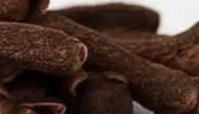 Clove: The Aromatic Superfood Your Health Will Love