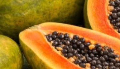 Recipes with Papaya Seeds: Benefits, Uses, and Natural Preparation