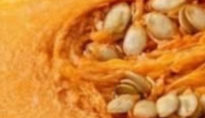 Homemade Pumpkin Remedies for High Blood Sugar