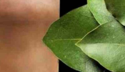 Bay Leaf: The Natural Wrinkle Eraser for Ageless Beauty!