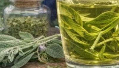 Sage Leaves: Properties and Health Benefits