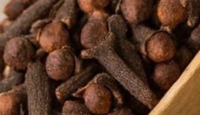 Discover the Daily Ritual: 15 Potential Benefits of Chewing Cloves for Overall Wellness and Health Support