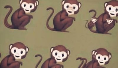 The Number Of Monkeys You See Determines If You’re A Narcissist