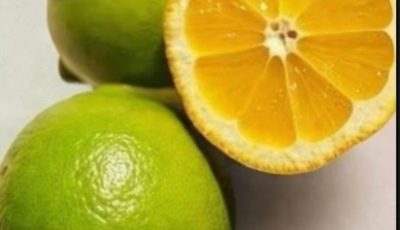 Lemon Peel Tea: A Refreshing, Natural Drink for Hydration and Daily Wellness