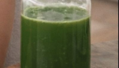 🌿 The Power of Orégano Orejón: A Traditional Herbal Plant for Kidney, Vision & Overall Wellness