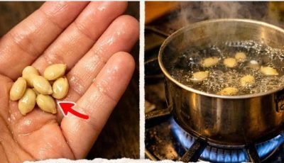 Ne jetez pas les pépins de citron : un trésor naturel que presque tout le monde gaspille.