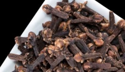 Breathe Easier Naturally: How Cloves Help Combat Respiratory Infections and Bronchitis