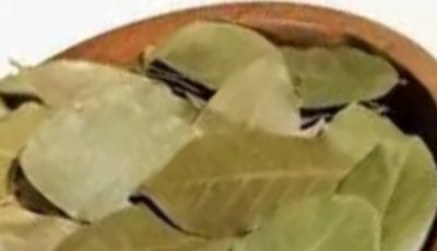 Bay Leaf: The Natural Wrinkle Eraser for Ageless Beauty