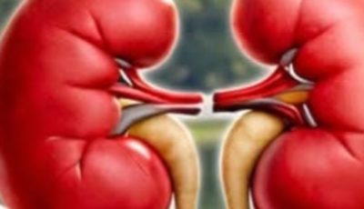 Discover How a Simple Daily Drink Can Help Support Your Kidney Health Naturally