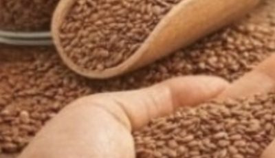 Cancer is afraid of These 6 Seeds: Fight Cancer Naturally