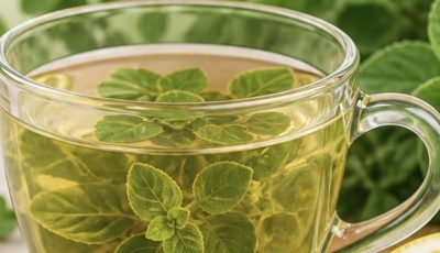 Oregano Herbal Tea (Natural Remedy)