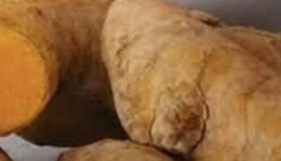 Golden Honey: The Powerful Turmeric Remedy Everyone Should Know