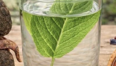 7 Simple Daily Habits to Support Kidney Health Naturally