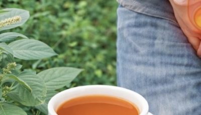 The Best Herbs To TREAT Enlarged Prostate (BPH) – Nature’s Hidden Allies You’re Probably Overlooking