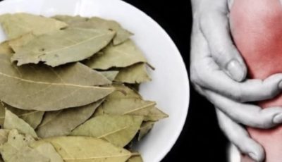 Bay Leaf Recipe for Knees and Joints: Natural Remedies for Joint Wellness