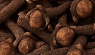 Chewing Cloves Daily: A Tiny Habit with Big Benefits for Your Body
