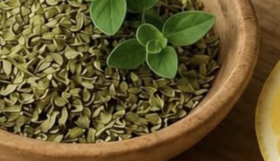 Cuban Oregano: The Medicinal Plant That May Naturally Support Your Well-Being