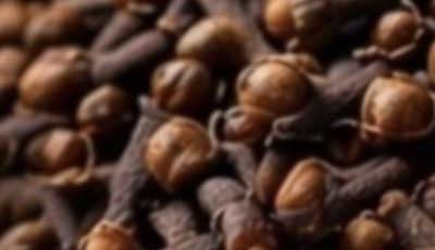 Most Seniors Over 60 Don’t Know This About Chewing Two Dark Pantry Spices