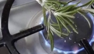 Burn some rosemary in your home and in 10 minutes you will thank me for the results
