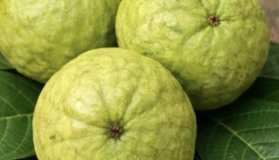 Guava: Nature’s Superfruit for Sharper Vision and Eye Comfort